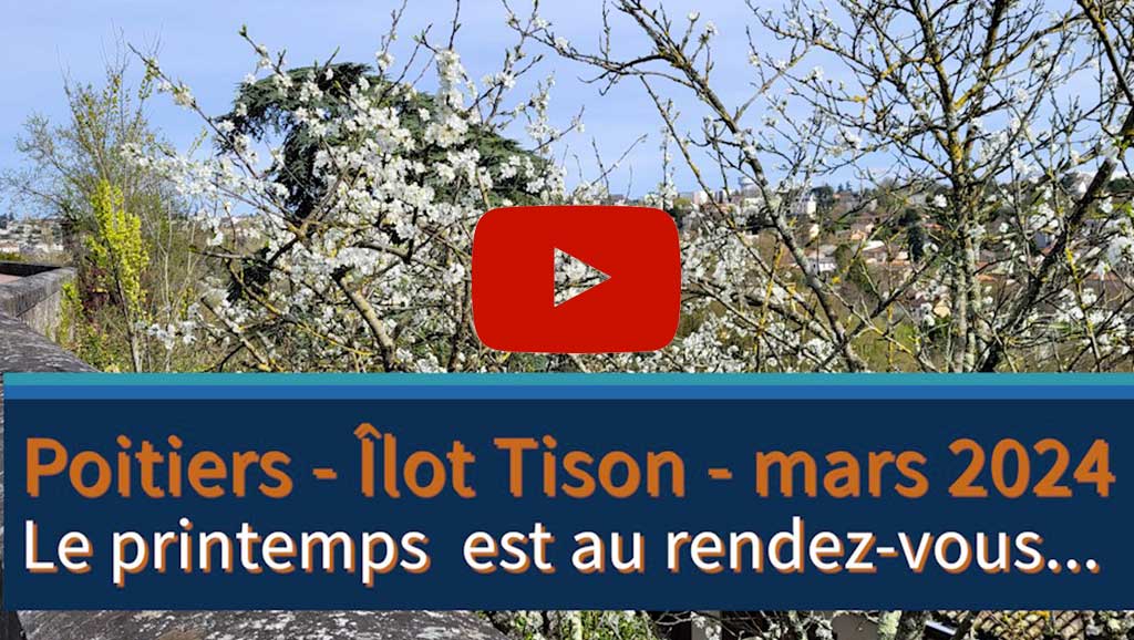 Poitiers, îlot Tison, le printemps 2024
