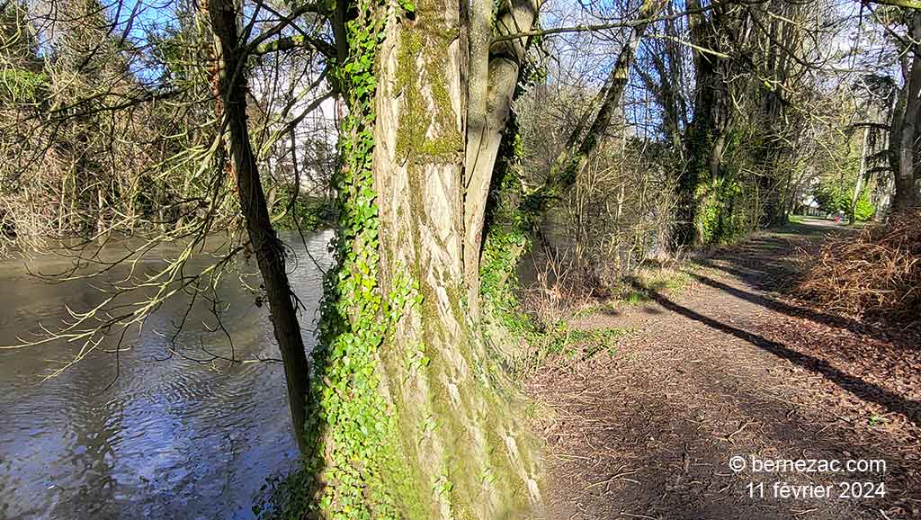 Poitiers, promenade Pasteur, rive droite du Clain