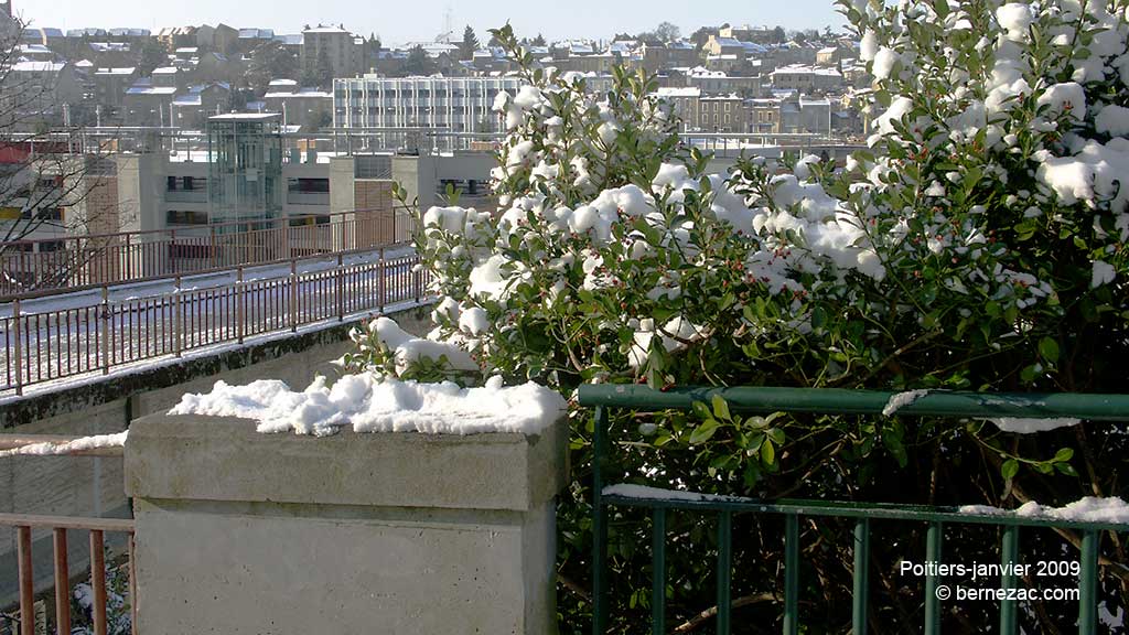 poitiers, neige janvier 2009