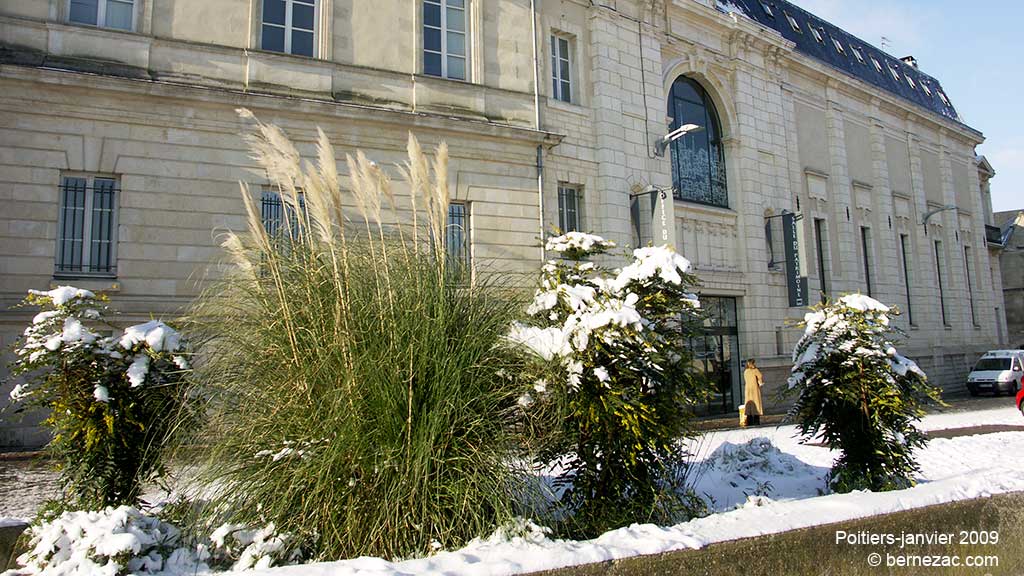 poitiers, neige janvier 2009