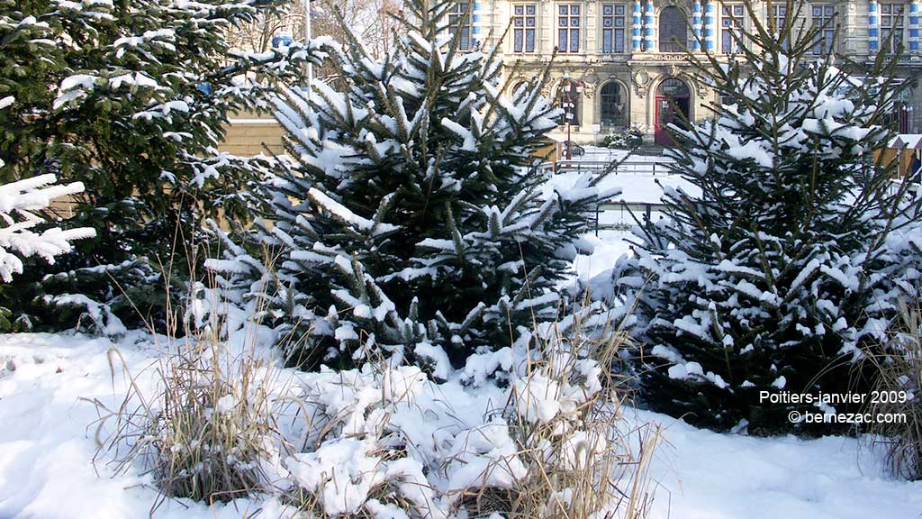 poitiers, neige janvier 2009