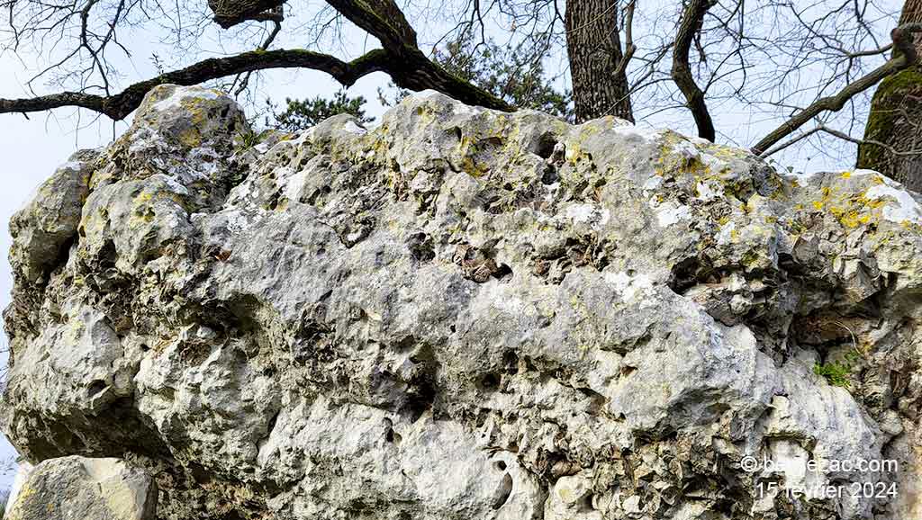 Poitiers, le dolmen de La Pierre Levée