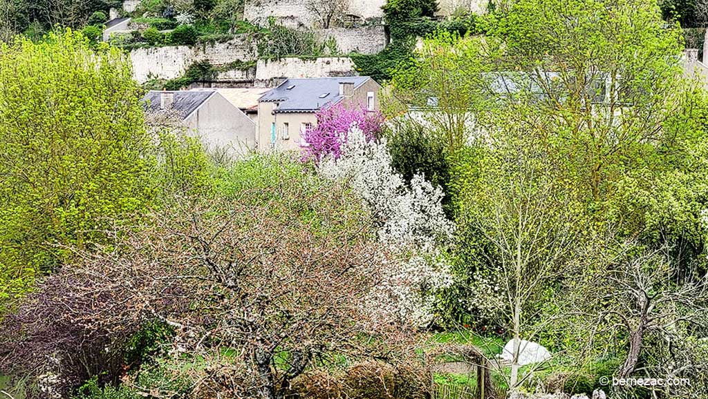 Poitiers, avril 2024 le printemps au Pont Neuf