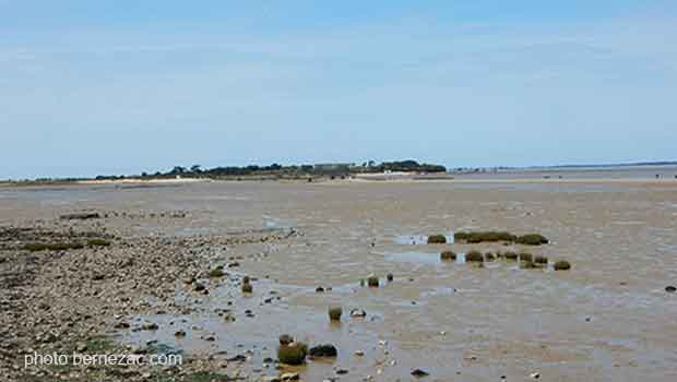 Port-des-Barques, promenade bord de mer