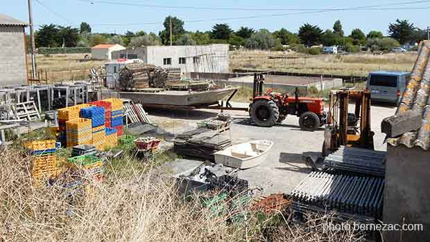 Port-des-Barques, ostréiculture