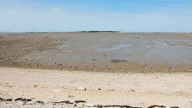 Port-des-Barques, promenade bord de mer