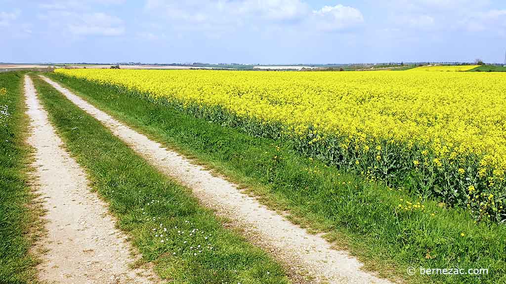 couleurs d'avril en Nouvelle Aquitaine 