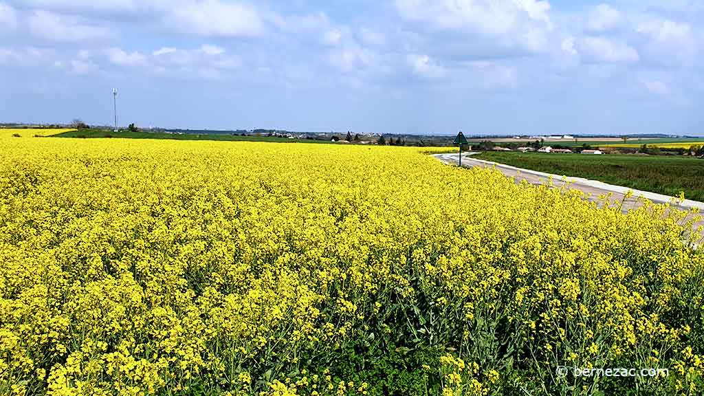 couleurs d'avril en Nouvelle Aquitaine 