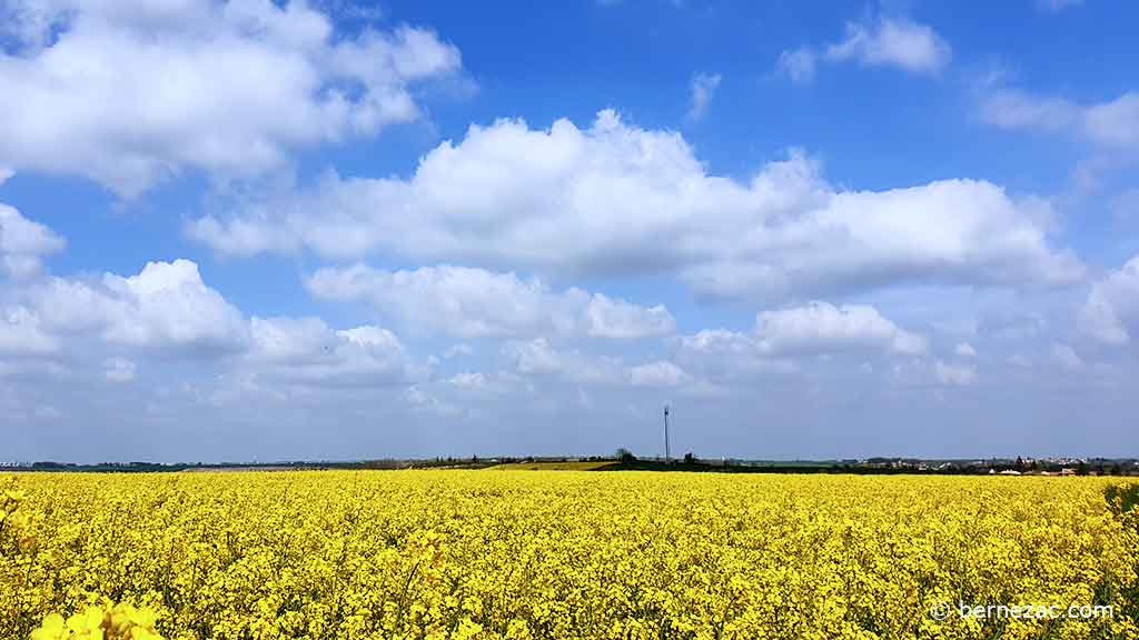 couleurs d'avril en Nouvelle Aquitaine 