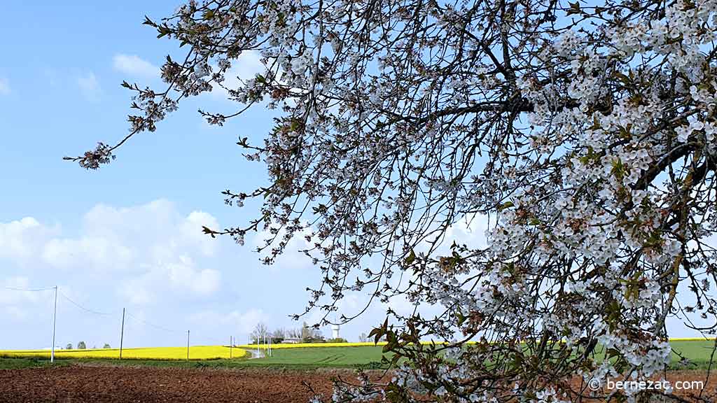 couleurs d'avril en Nouvelle Aquitaine 