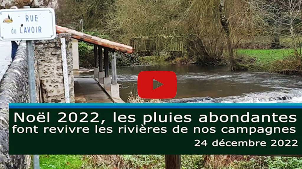 rivière de campagne en décembre