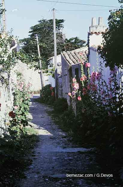 Ars-en-Ré venelle 1980