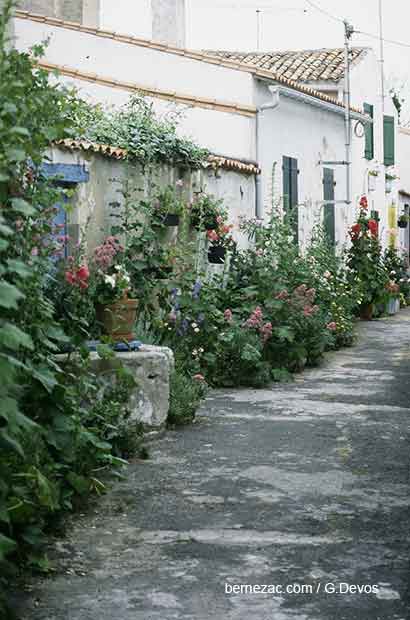 Ars-en-Ré venelle 1990