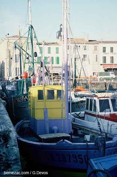 La Flotte en Ré, port de pêche en 1978