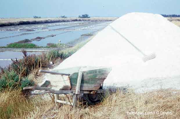 ile de ré, marais salants en 1976