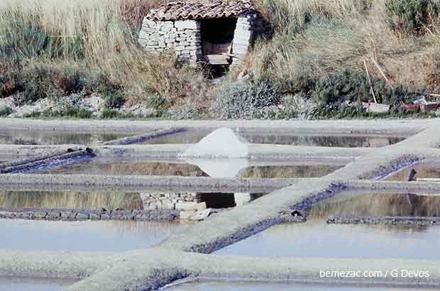 ile de ré, marais salants en 1982