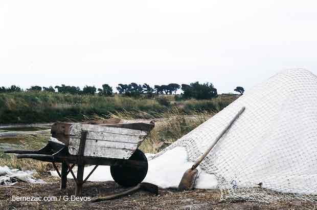 ile de ré, marais salants en 1983