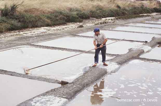 ile de ré, marais salants en 1979