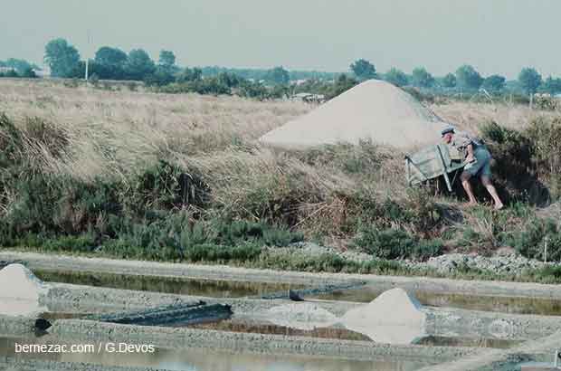 ile de ré, marais salants en 1983