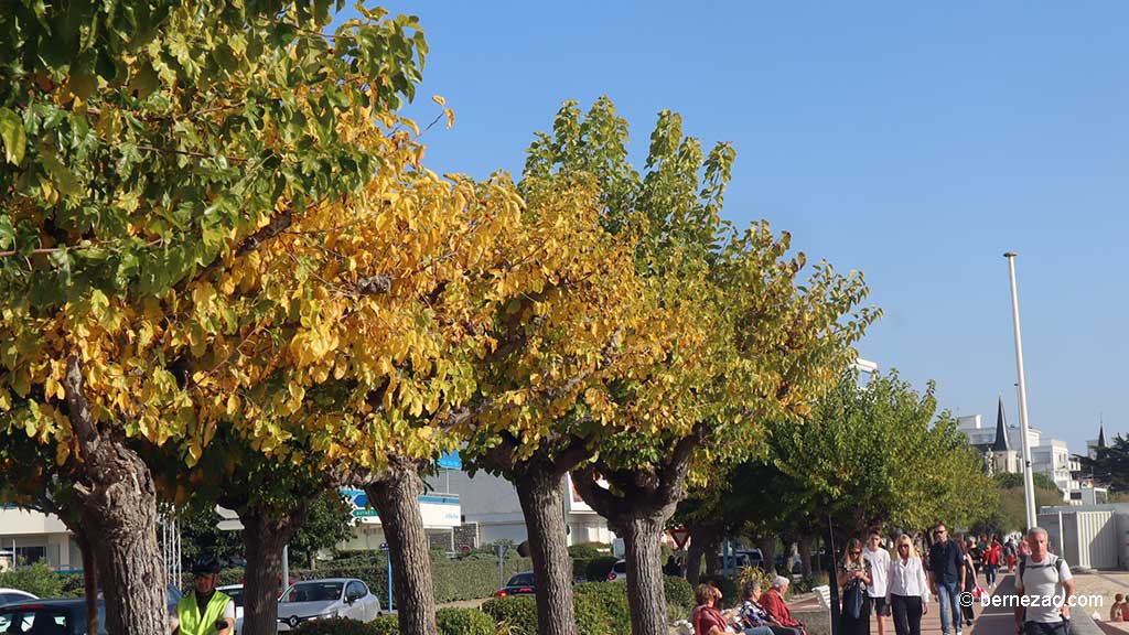 Royan en octobre