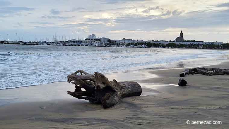 Royan marée basse, coefficient 104 octobre 2023