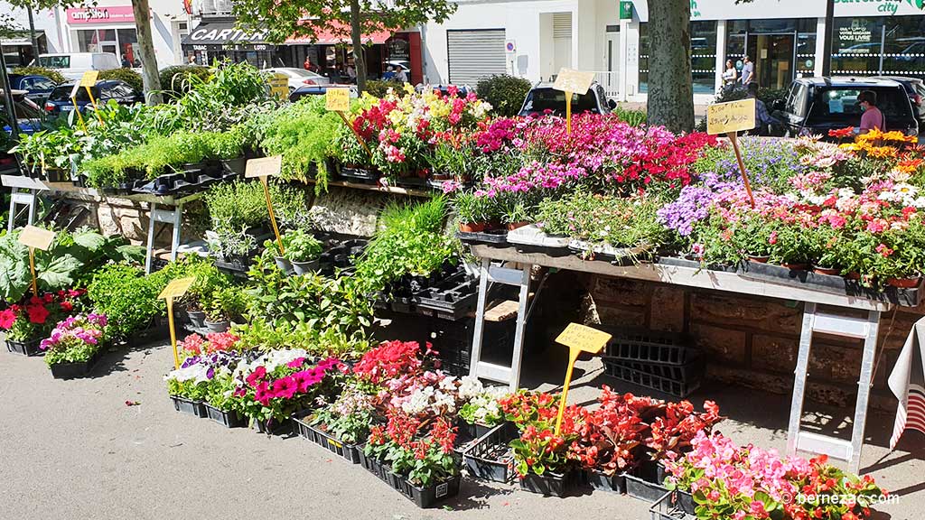 au marché de Royan