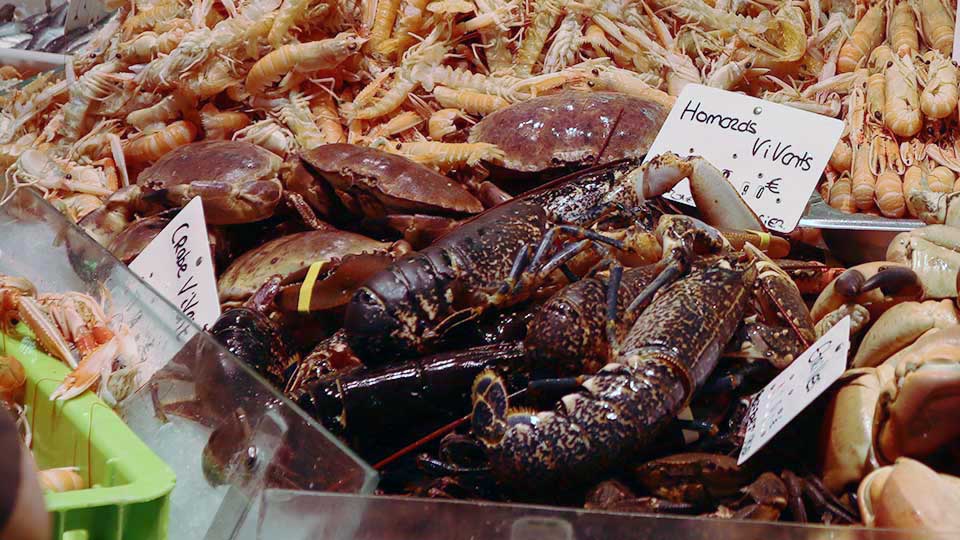 septembre au marché de Royan