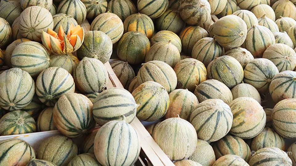 septembre au marché de Royan