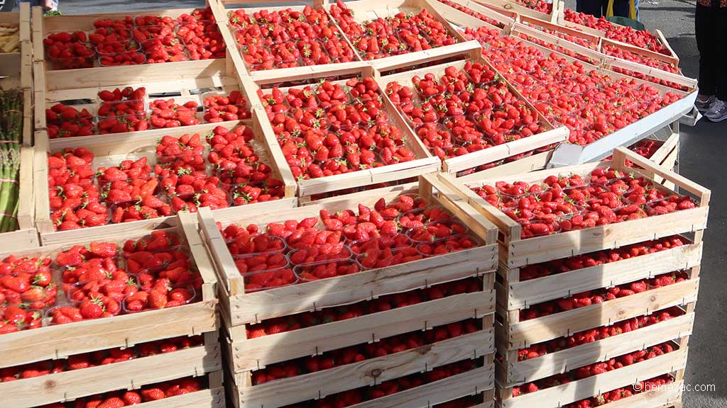 au marché de Royan