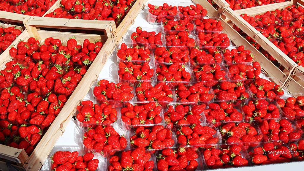 au marché de Royan