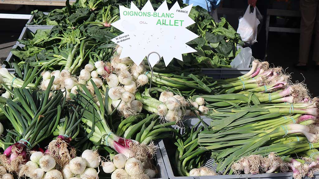 au marché de Royan