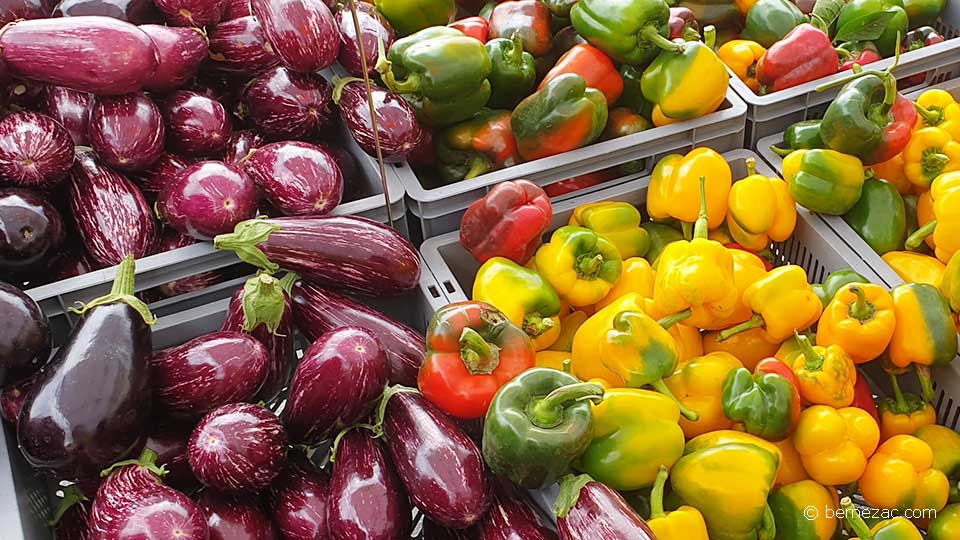 au marché de Royan