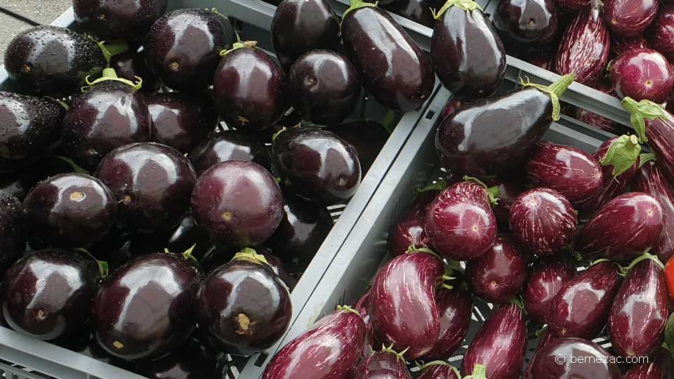 septembre au marché de Royan