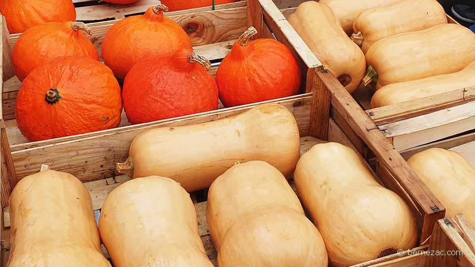 septembre au marché de Royan