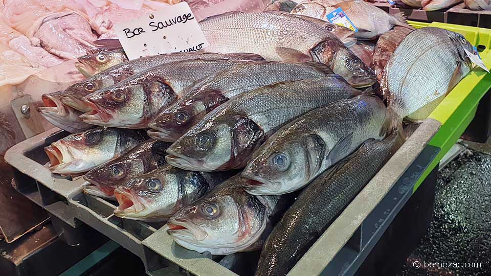 septembre au marché de Royan