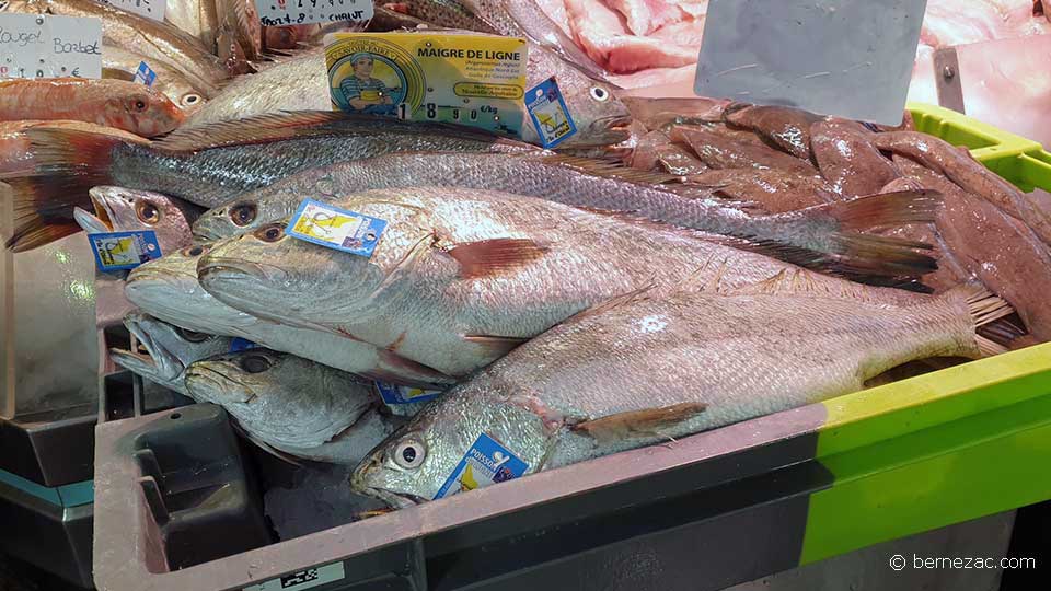 septembre au marché de Royan