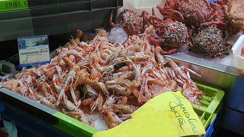 septembre au marché de Royan