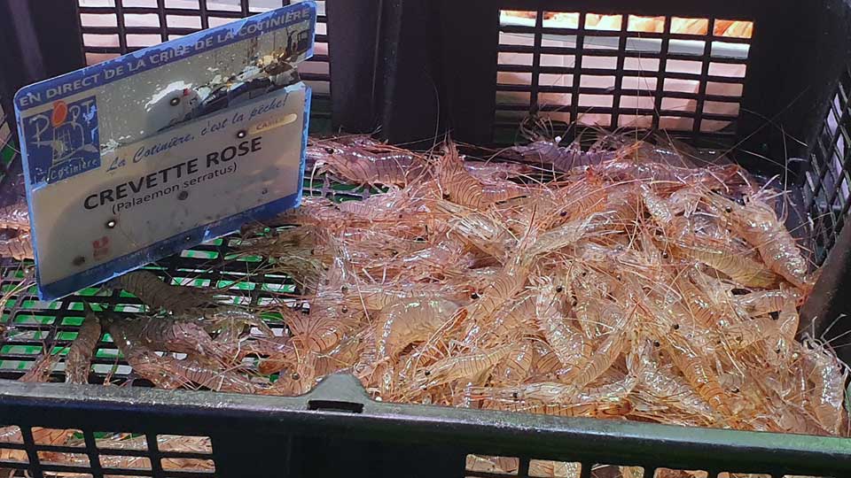 au marché de Royan