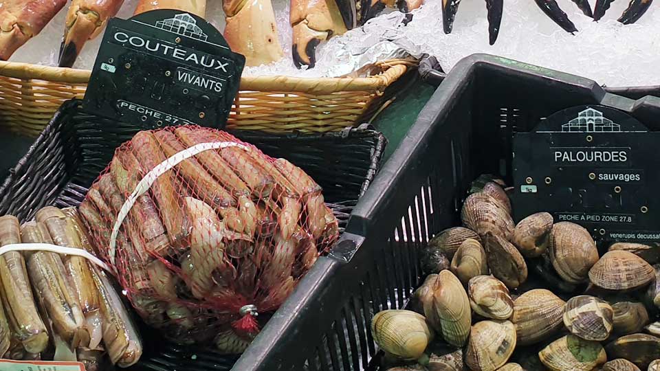 septembre au marché de Royan