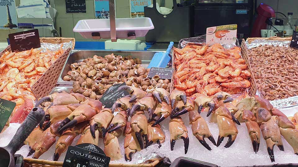 septembre au marché de Royan