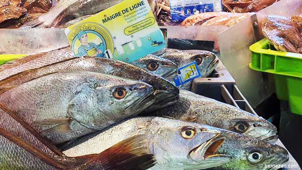 dimanche de septembre au marché de Royan