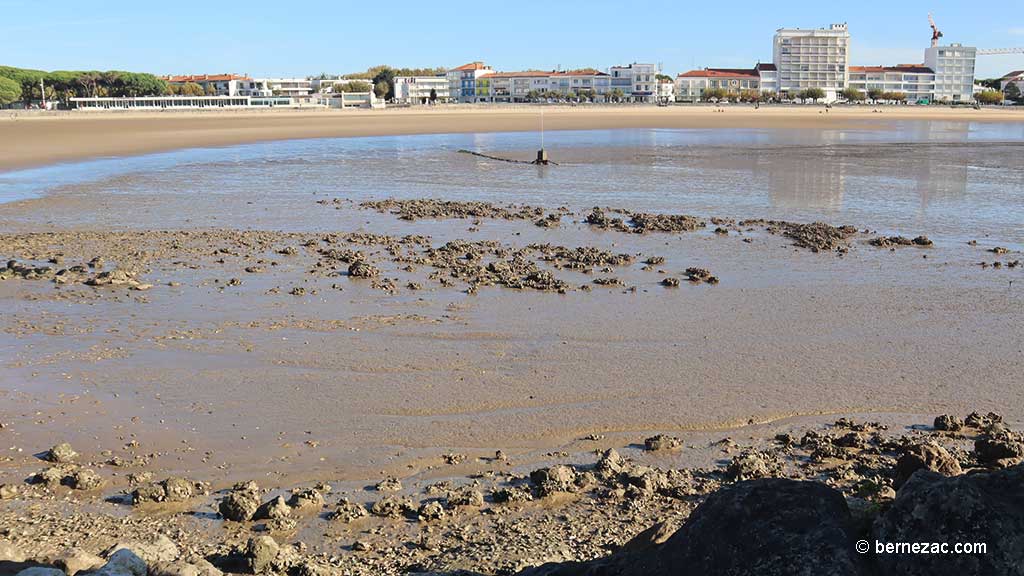 grandes marées octobre, Royan, marée basse