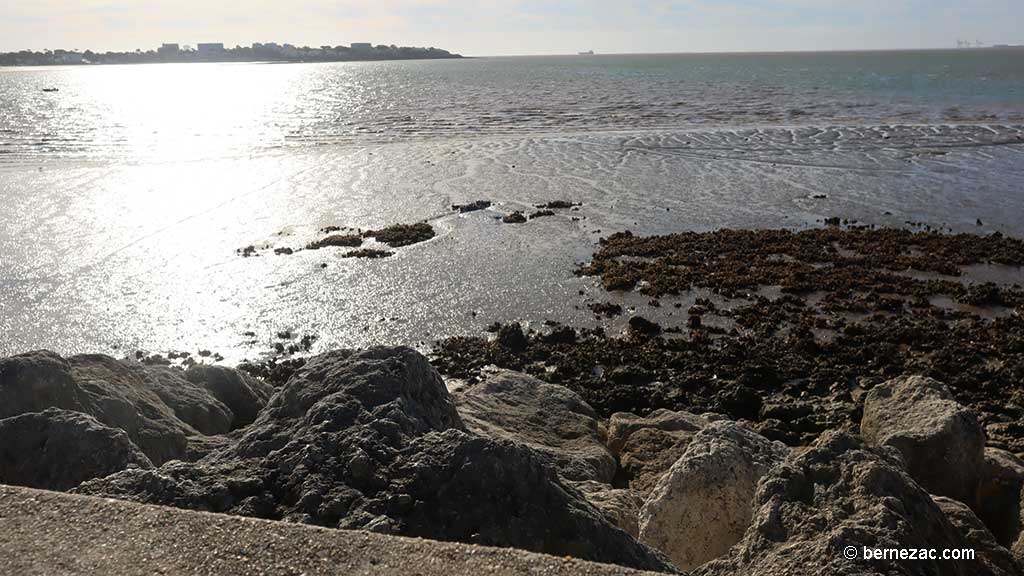 grandes marées octobre, Royan, marée basse