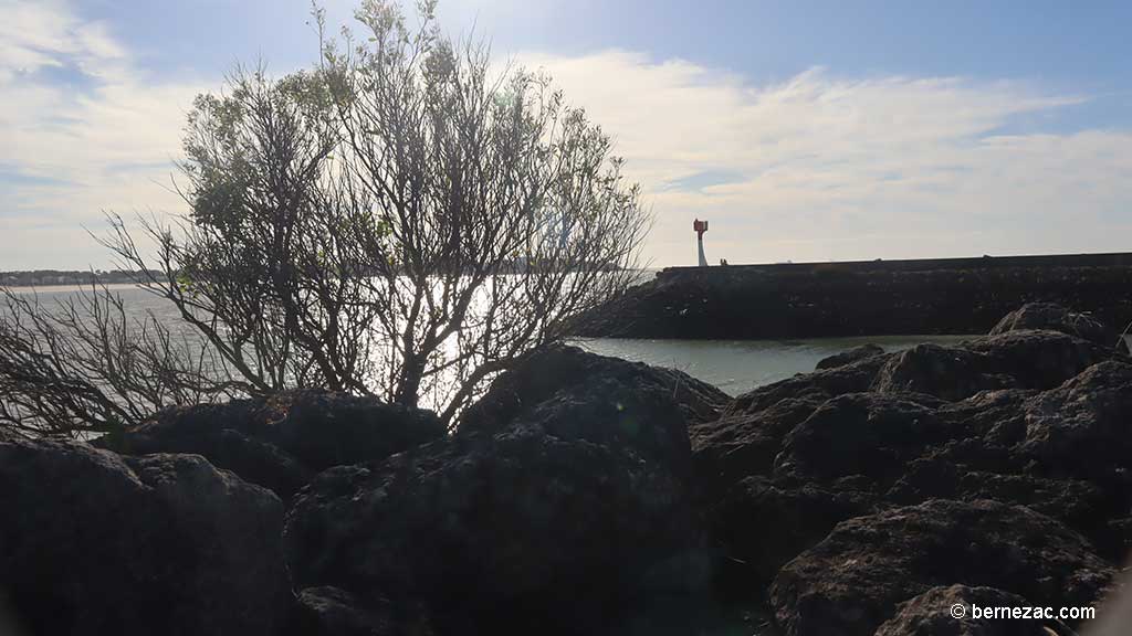 grandes marées octobre, Royan, marée basse