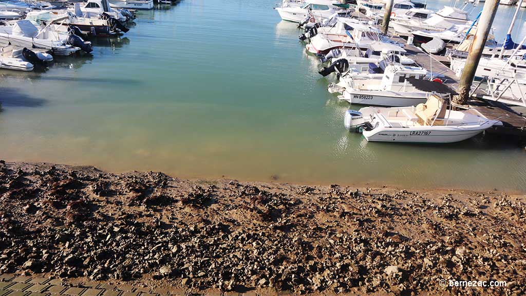 grandes marées octobre, Royan, marée basse