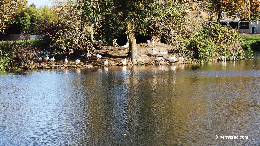 Royan, lac de la Métairie