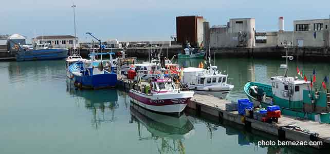 Royan, le port de pêche avec la criée en arrière-plan