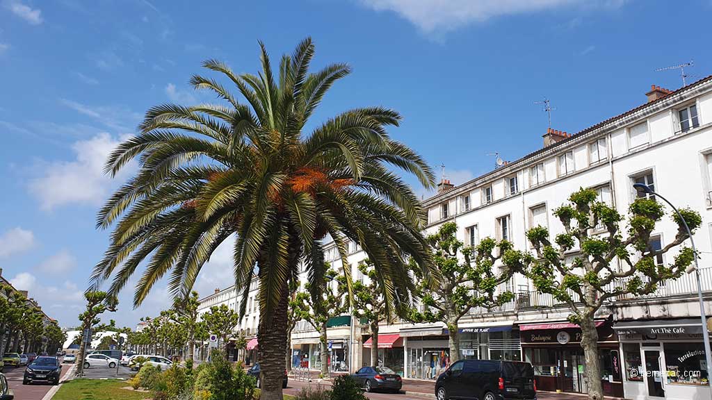 Royan, boulevard Briand