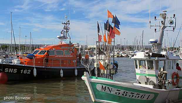 Royan port de pêche