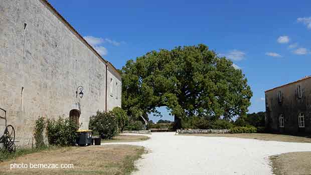 abbaye de Sablonceaux